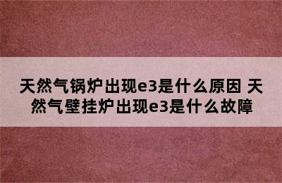 天然气锅炉出现e3是什么原因 天然气壁挂炉出现e3是什么故障